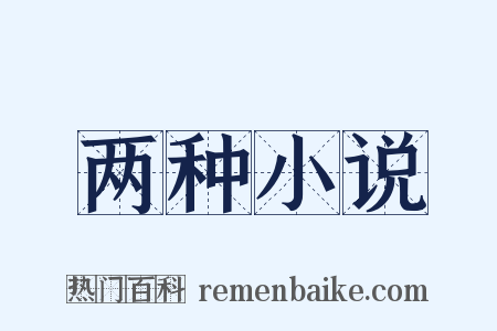 两种小说是什么意思的图片